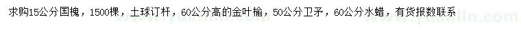 求购国槐、金叶榆、卫矛等