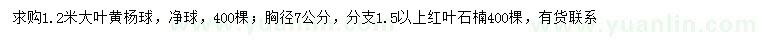 求购1.2米大叶黄杨球、胸径7公分红叶石楠