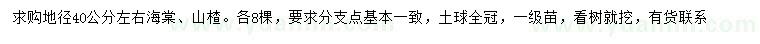 求购地径40公分左右海棠、山楂