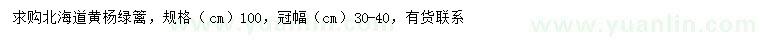 求购冠幅30-40公分北海道黄杨绿篱