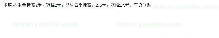 求购冠幅2米丛生金桂、冠幅2.5米丛生四季桂