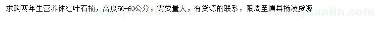 求购高50-60公分红叶石楠