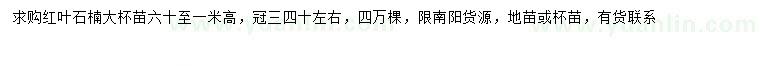 求购高0.6-1米红叶石楠