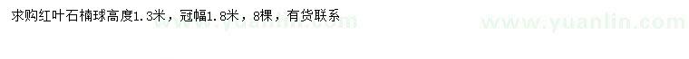 求购冠幅1.8米红叶石楠球