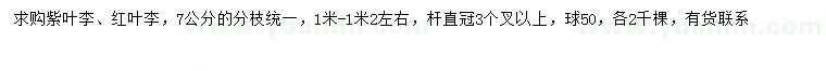 求购7公分紫叶李、红叶李