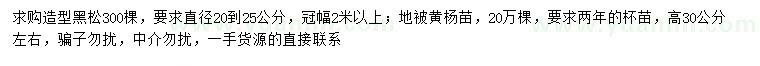 求购20-25公分造型黑松、高30公分左右黄杨