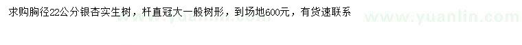 求购胸径22公分实生银杏