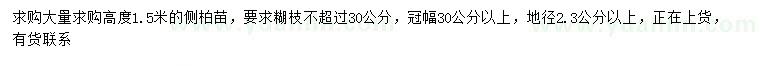 求购高1.5米侧柏