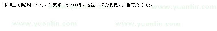 求购5公分三角枫、地径1.5公分刺槐