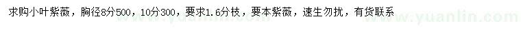 求购胸径8、10公分小叶紫薇