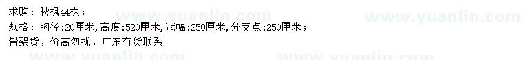 求购胸径20公分秋枫