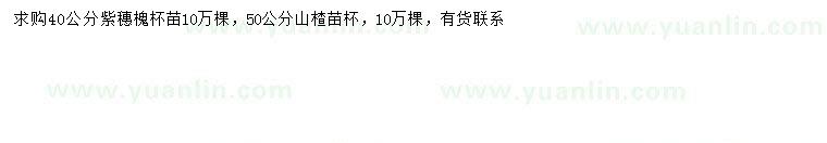 求购40公分紫穗槐、50公分山楂