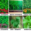 北京绿化防寒布的属性包括哪些？