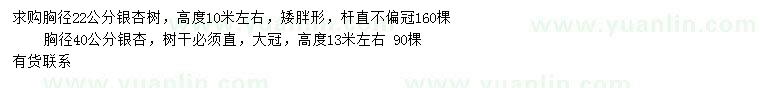 求购胸径22、40公分银杏树