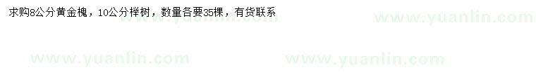 求购8公分黄金槐、10公分榉树