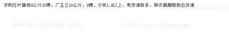 求购8公分红叶碧桃、20公分广玉兰