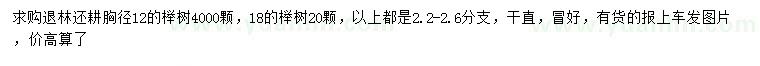 求购胸径12、18公分榉树