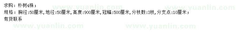 求购胸径50公分朴树