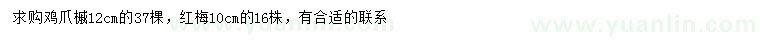 求购12公分鸡爪槭、10公分红梅