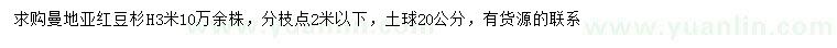 求购高3米曼地亚红豆杉