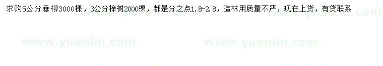 求购5公分垂柳、3公分榉树