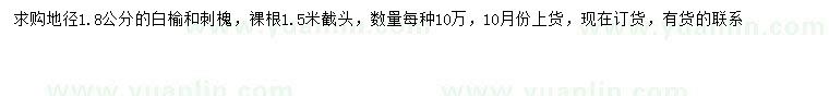 求购地径1.8公分白榆、刺槐