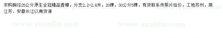 求购胸径25、30公分香樟