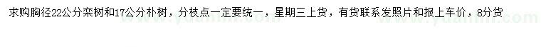 求购胸径22公分栾树、17公分朴树