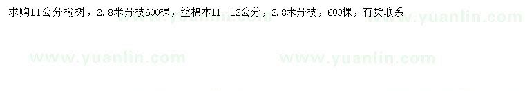 求购11公分榆树、11-12公分丝棉木