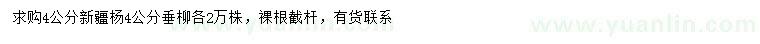 求购4公分新疆杨、垂柳