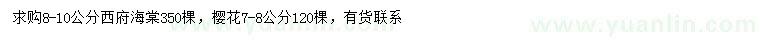 求购8-10公分西府海棠、7-8公分樱花