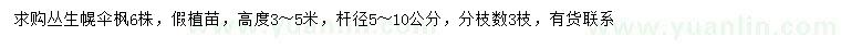 求购高3-5米丛生幌伞枫