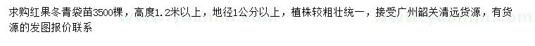 求购地径1公分以上红果冬青