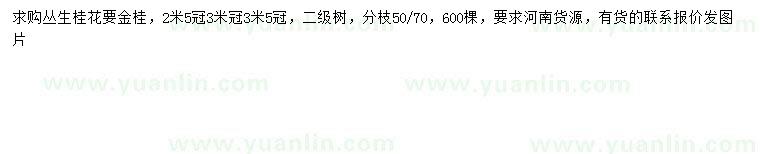 求购冠幅2.5、3、3.5米丛生金桂