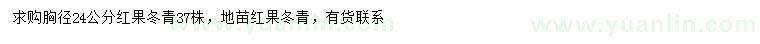 求购胸径24公分红果冬青