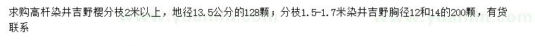 求购地径13.5公分高杆染井吉野樱、胸径12、14公分染井吉野樱