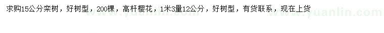 求购15公分栾树、1.3米量12公分高杆樱花