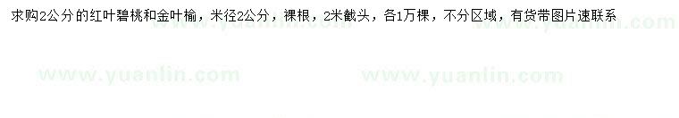 求购米径2公分红叶碧桃、金叶榆