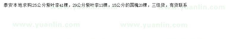 求购25、29公分紫叶李、15公分国槐