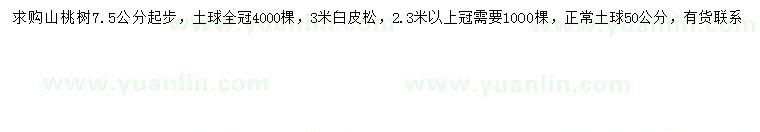 求购7.5公分以上山桃、3米白皮松