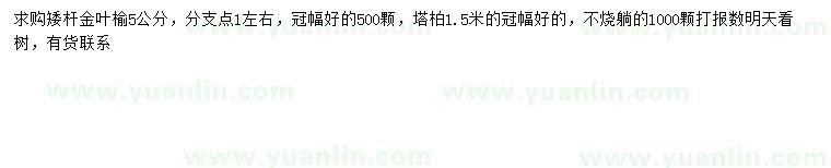 求购5公分金叶榆、1.5米塔柏