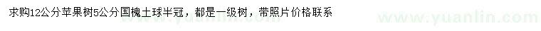 求购12公分苹果树、5公分国槐