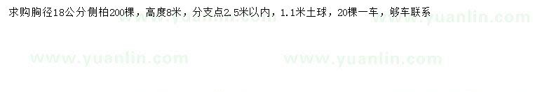 求购胸径18公分侧柏200棵