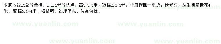 求购地径15公分金桂、冠幅3.5-4米丛生桂花