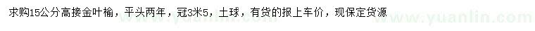 求购15公分高接金叶榆