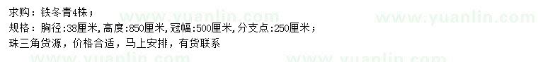 求购胸径38公分铁冬青