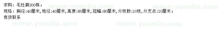 求购胸径40公分毛杜鹃