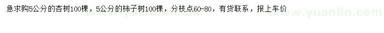 求购5公分杏树、柿子树