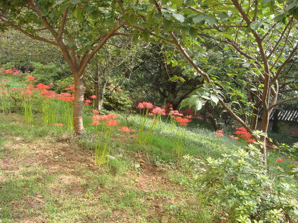 平和园林花木园