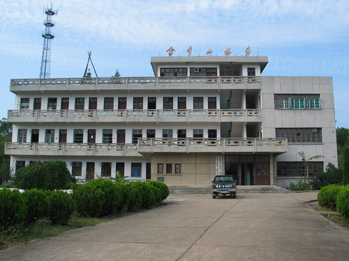 东至县金寺山林场 